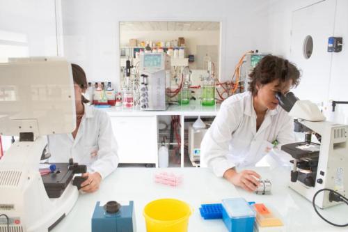 formation_ENSTBB_culture_cellulaire_initiation.jpg