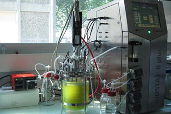 biotechnologie